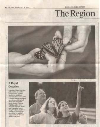 L.A. Times Butterfly Picture
